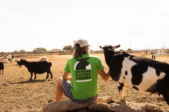 2-B-no-more-factory-farms