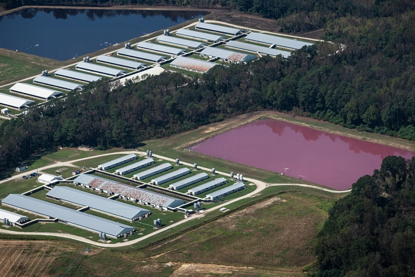 3-C-waste-lagoons-river-pollution