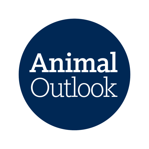 Animal Outlook logo