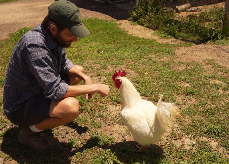 About Page-B-free-range-farmer